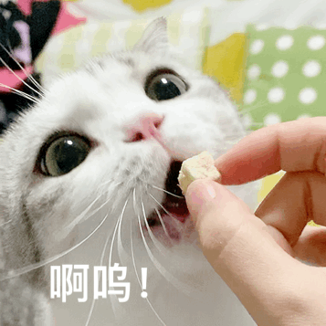 都2020年了这几张照片你还不会拍
