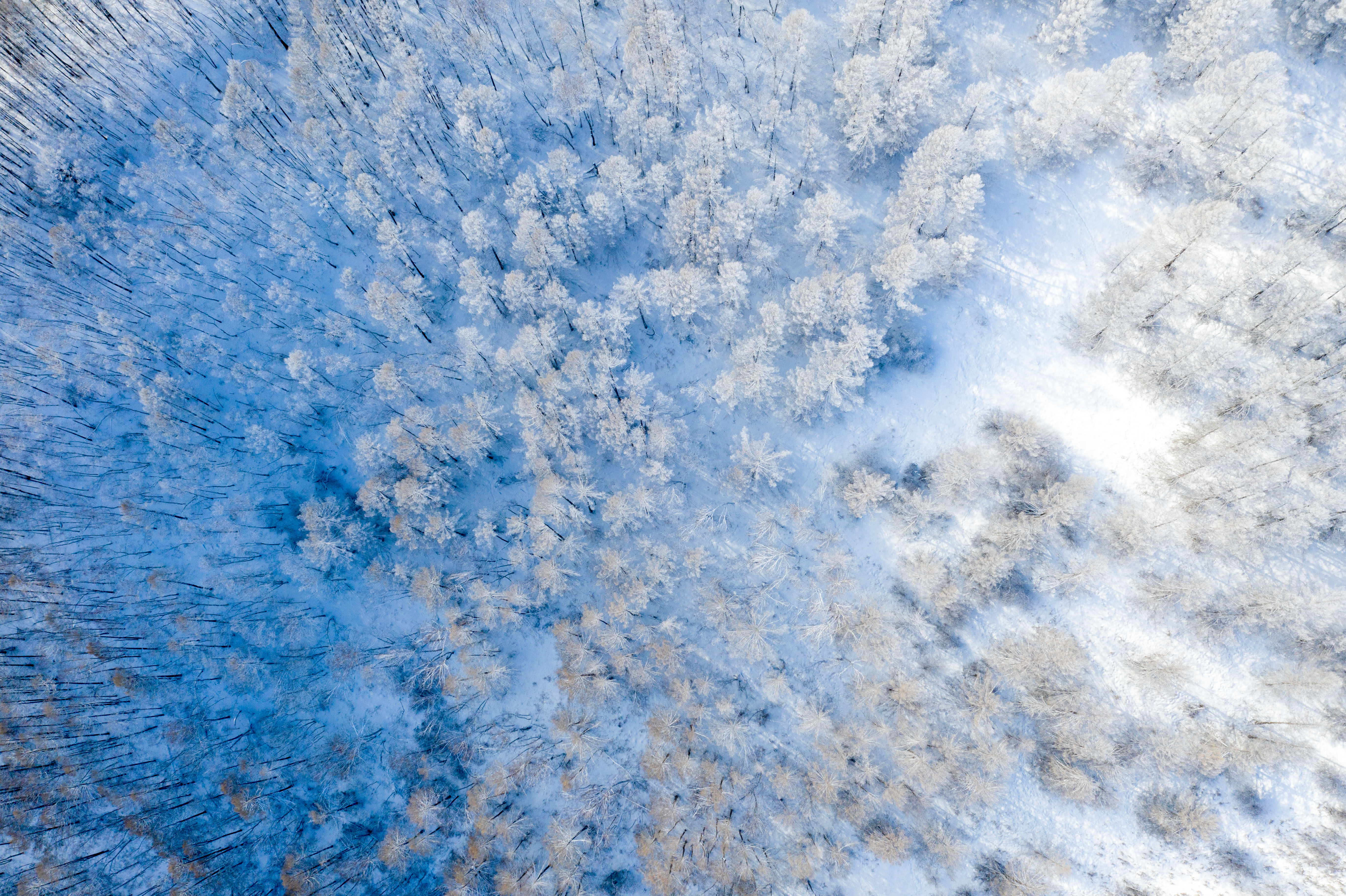 浓缩版的冰雪大世界