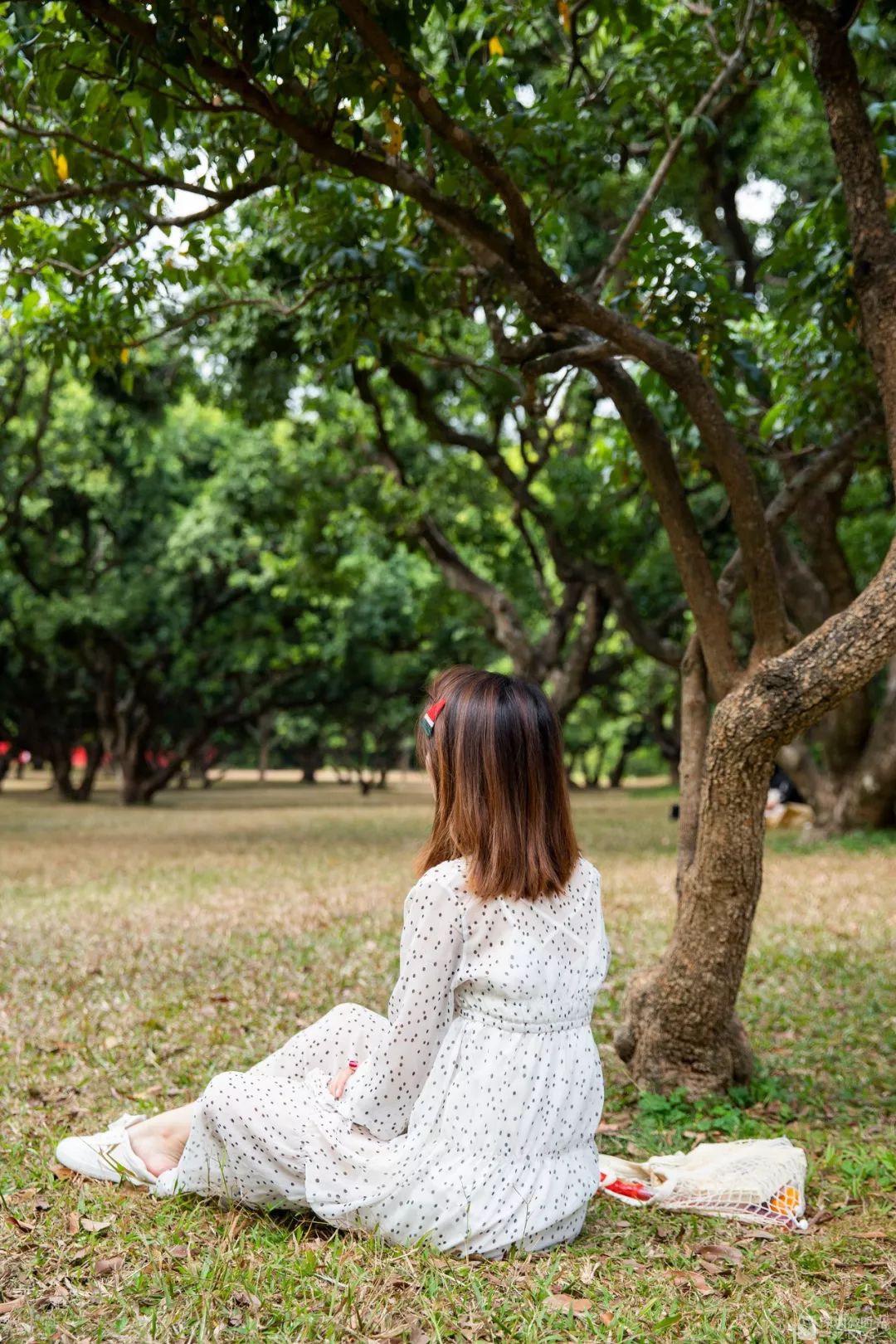 深圳惊现最美天梯!这块梅林人的宝藏地,早该火了!_水库