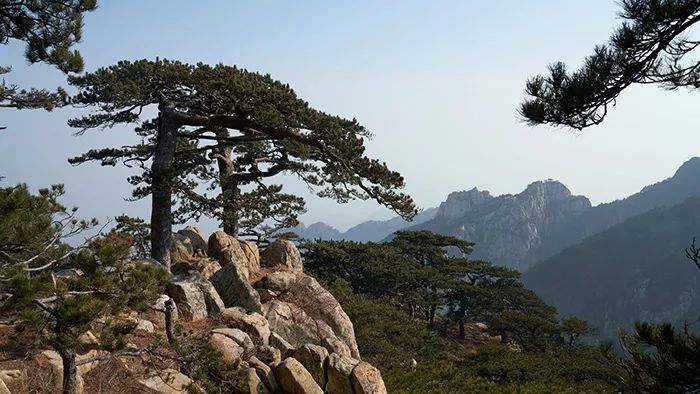 人民币背后的中国风光打卡之旅完成