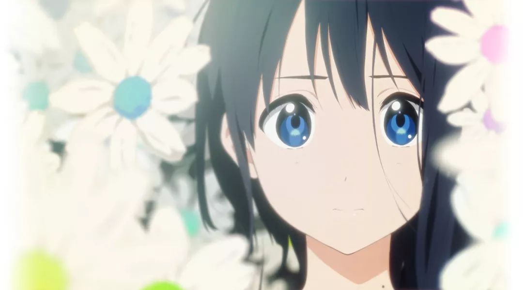 从紫罗兰永恒花园外传谈京都动画38年发展历程