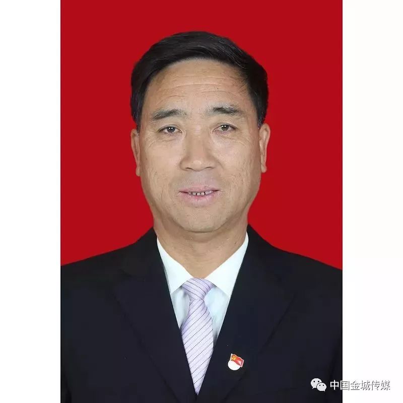 灵宝优秀村支部书记都是谁快看有你村的没