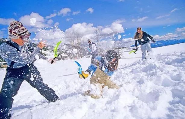 走进冰雪世界：体验一场梦幻之旅