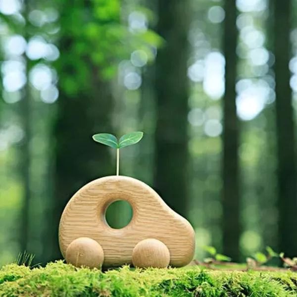 惊人的社会定律