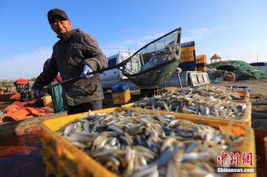 三部门发文推进大水面生态渔业发展