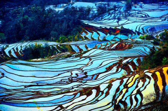 元阳梯田在最好的春光里邂逅最惊艳的大地曲线