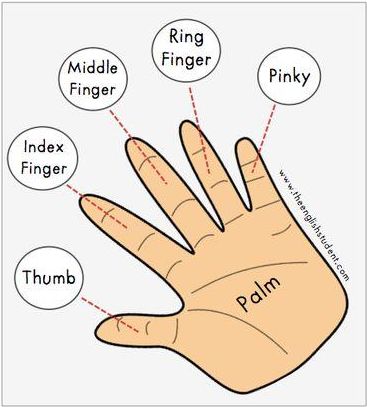 一张图学会身体各个部位的英语表达 值得永久收藏 Tooth