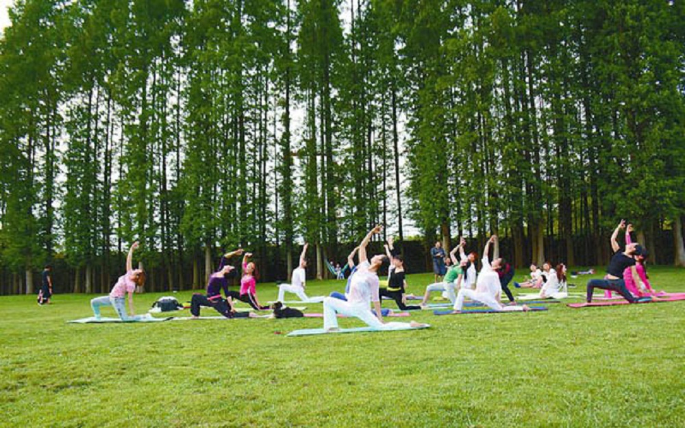 机制,定期和不定期开展培训和考核,提供科学,有效的森林养生康复指导