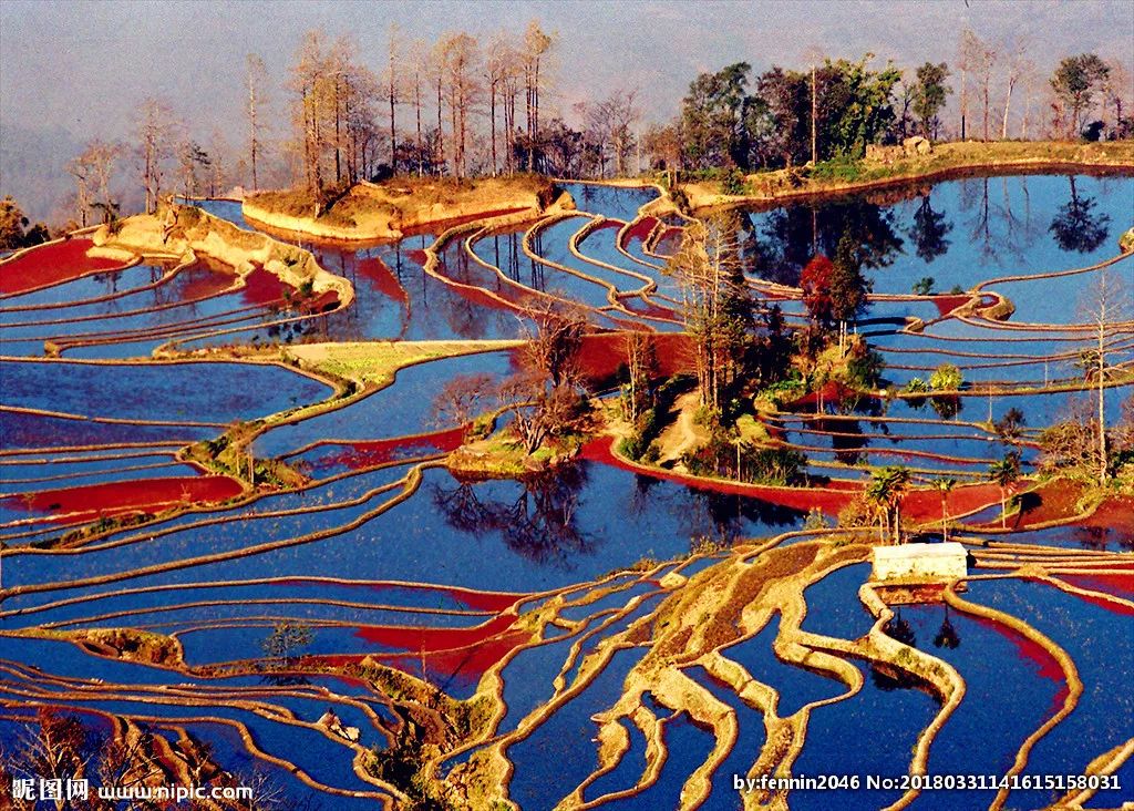 现代诗赏析断章