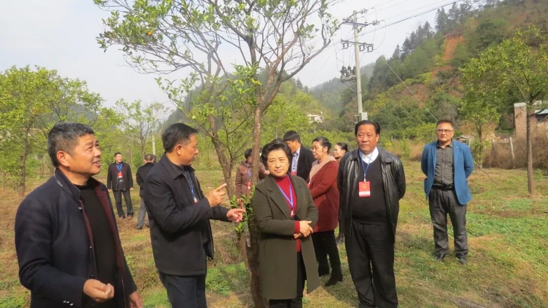 遂川县人大主任图片