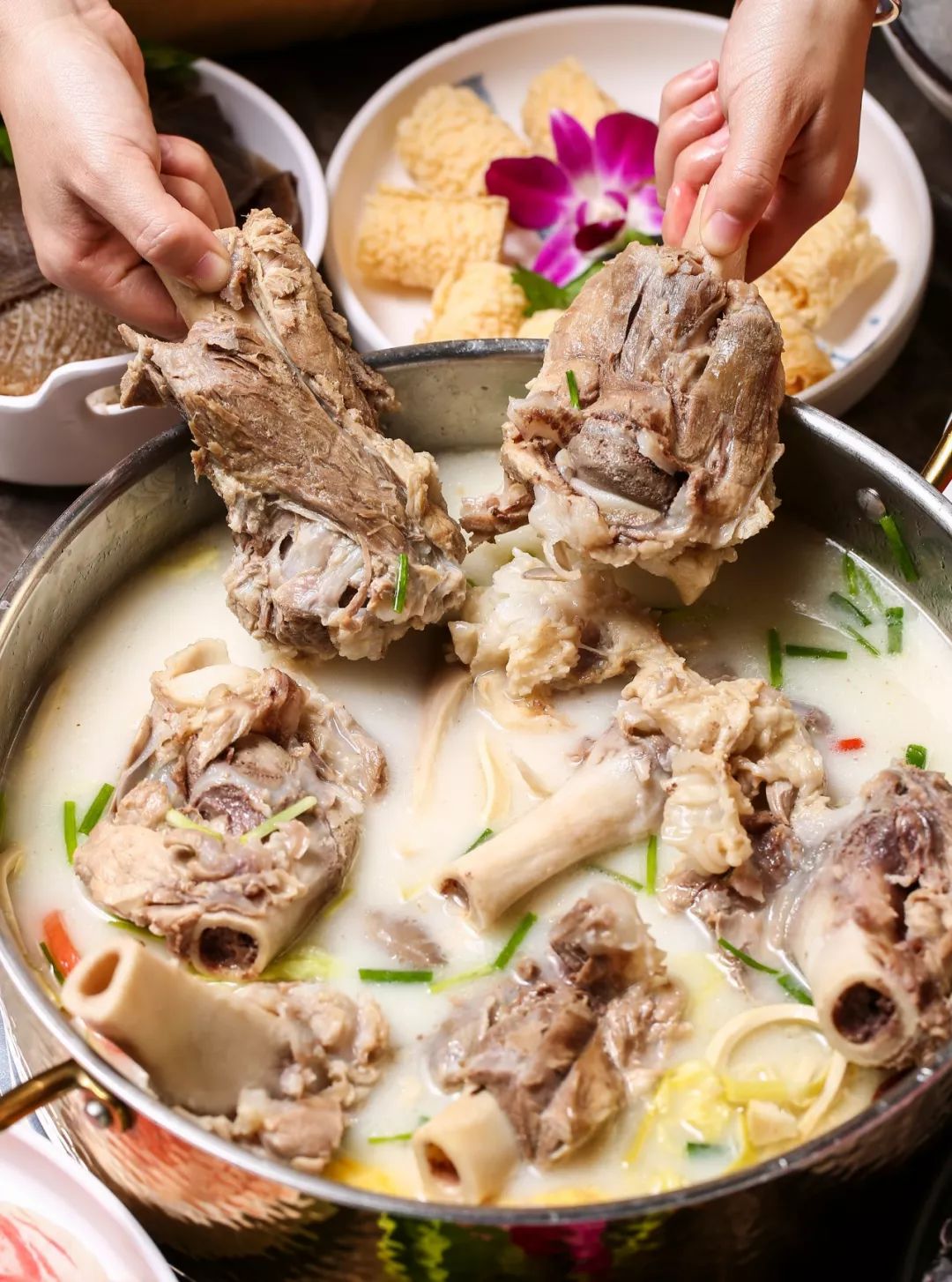 魔都骨头火锅专门店一口锅全是肉骨超纲用料吃到撑