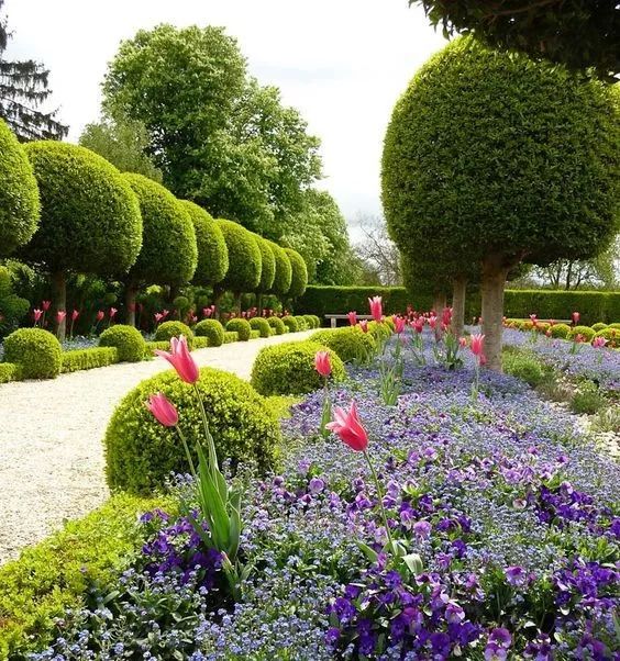 庭院花园植物配置6大秘诀