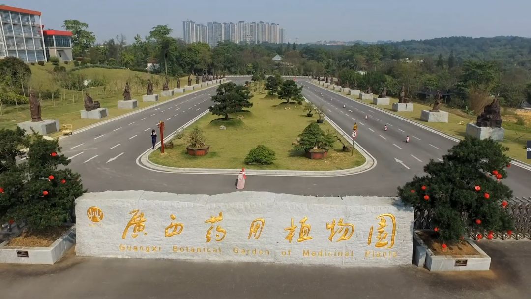 最大种植药用植物最多的专业植物园这么多的药用植物到底应该怎么区分