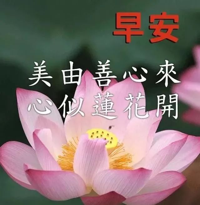 漂亮可爱表情图片早上好问候语