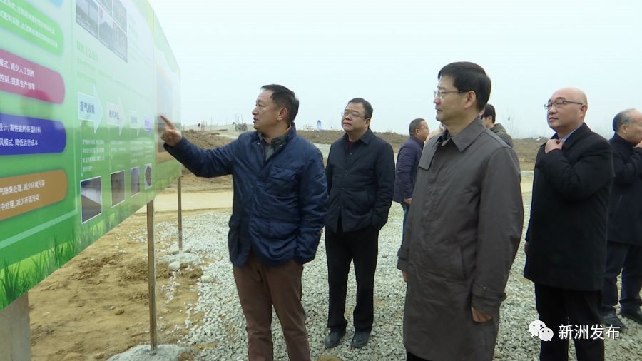 速看新洲李集146亩生态养殖重大项目稳步推进