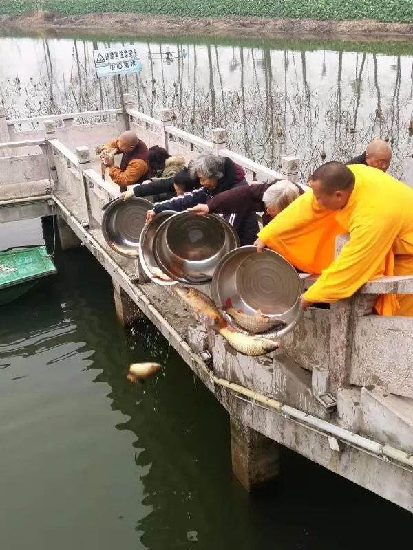 深圳超度和放生-深圳超多维光电子有限公司 深圳超度和放生-深圳超多维光电子有限公司