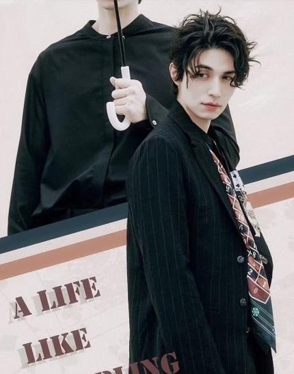 李栋旭是典型的韩国帅哥,早年的时候眼睛没有现在这么深邃,是很健康