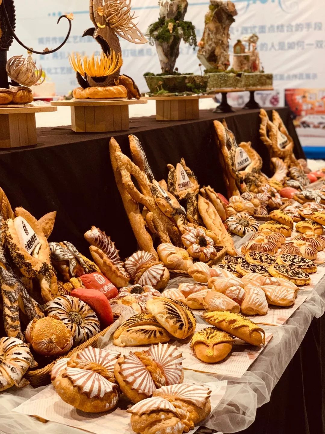 技术创新展示,品味西点文化