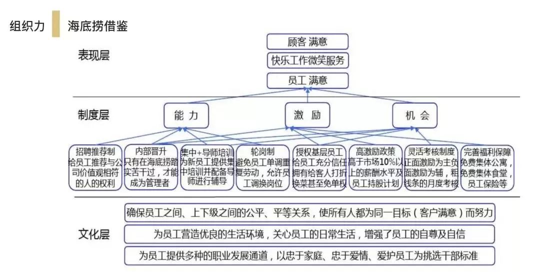 海底捞的组织结构图片