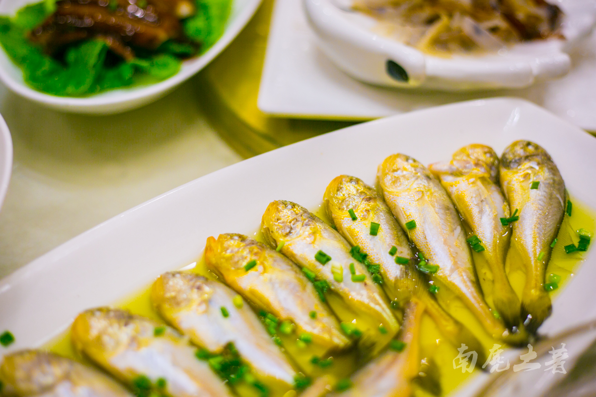 嵊泗旅行一定要吃“洋山四宝”，每一道肯定都是你的菜