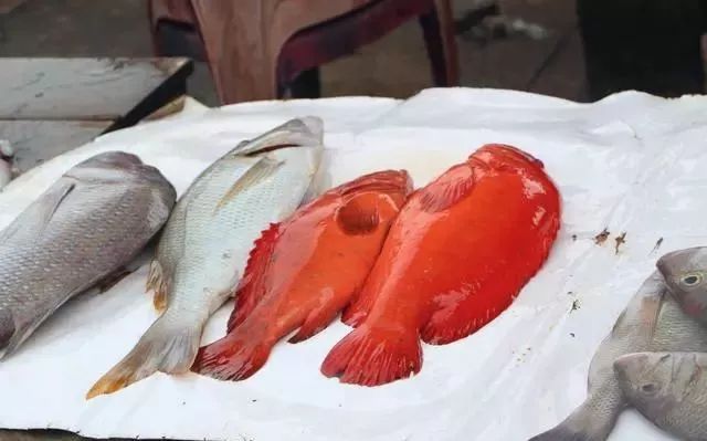 远离喧嚣和雾霾去马克吐温眼中的世界最美的岛屿斯里兰卡