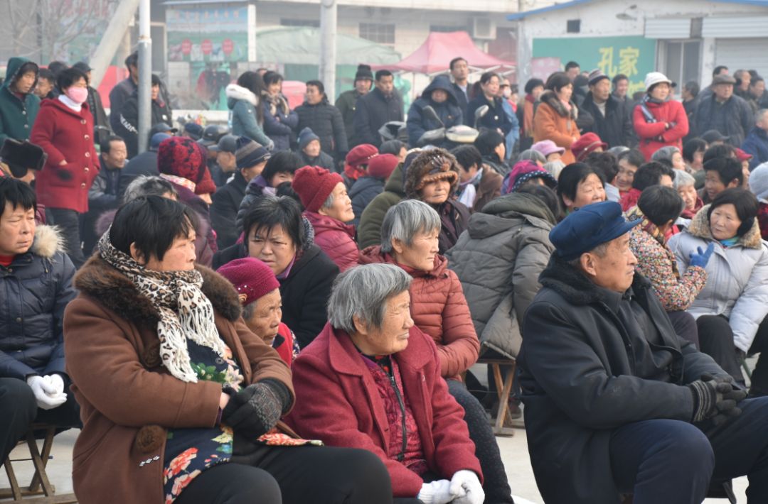 肥城市桃园镇屯头村图片