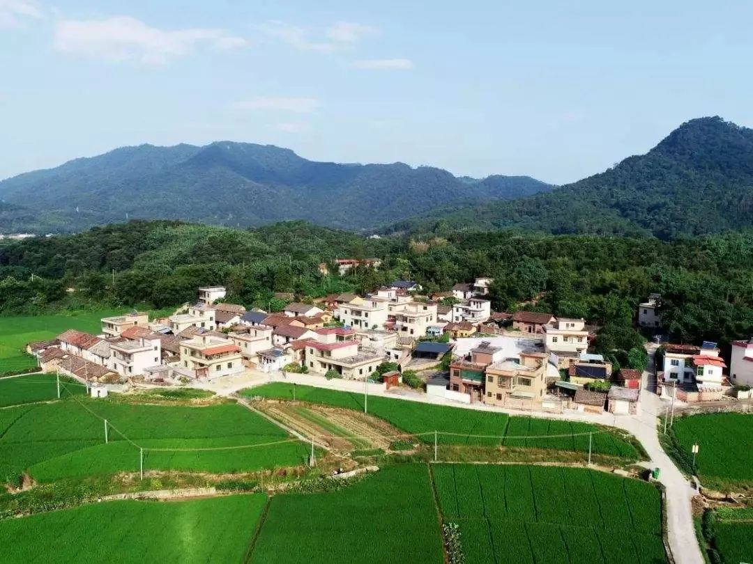 化州市合江镇有三个大项目来袭!