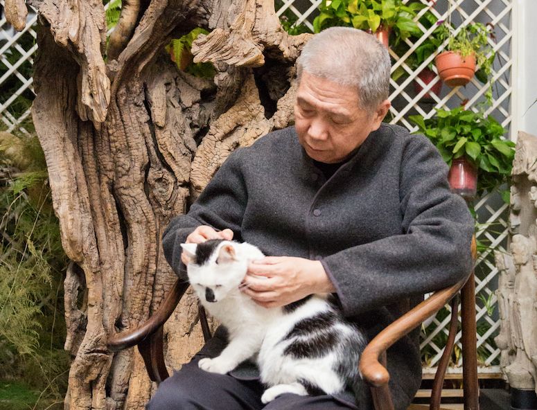 马未都不是人选择了猫是猫选择了人