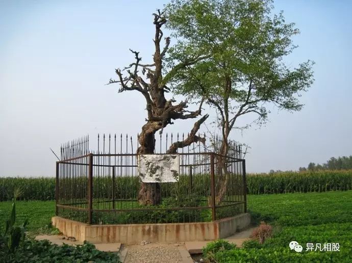 原创摩旅博望坡,这里拆车叫卖汽车零配件造就马路杀手,旧车市场怎么没