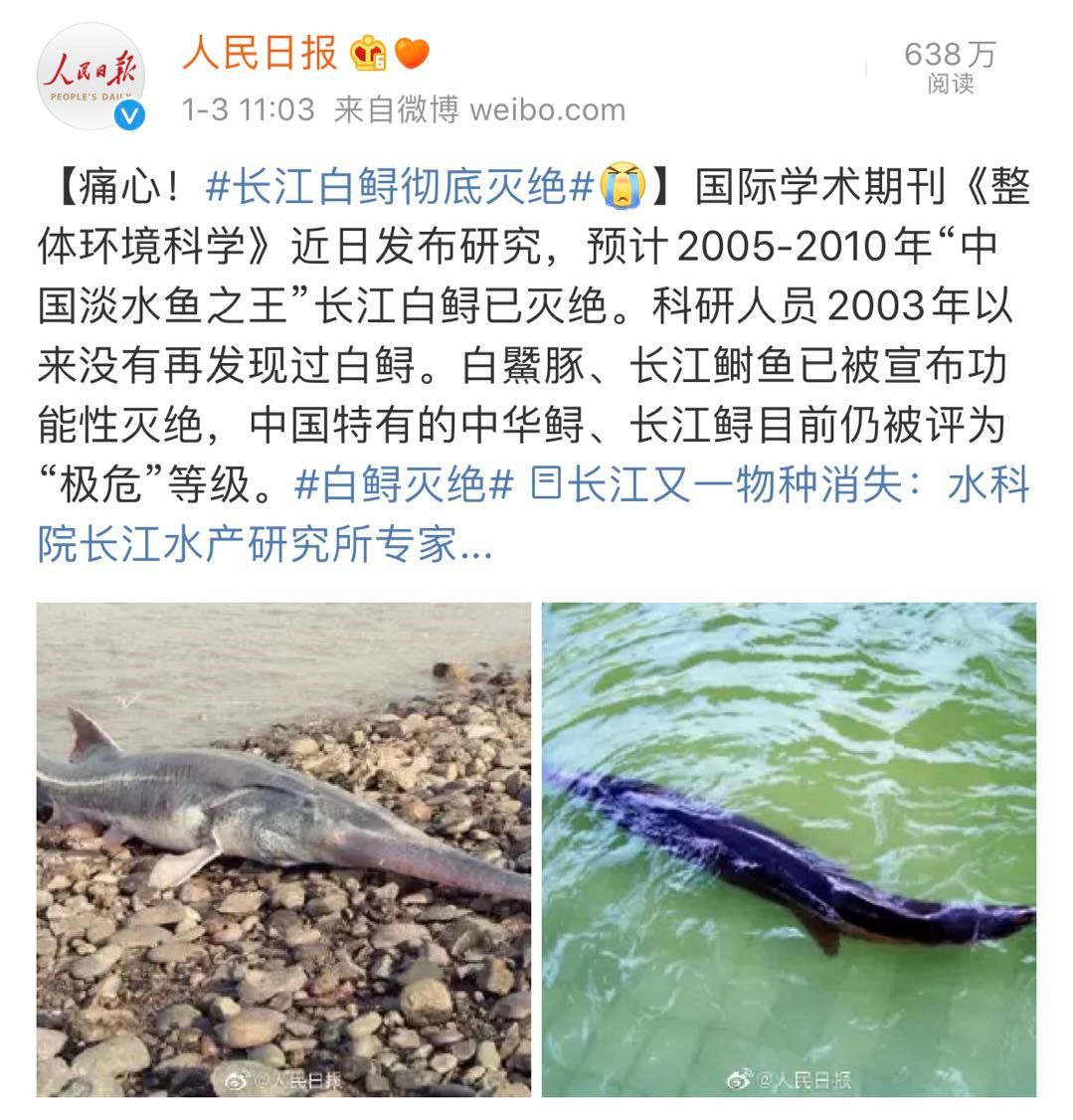 "千斤腊子,万斤象.
