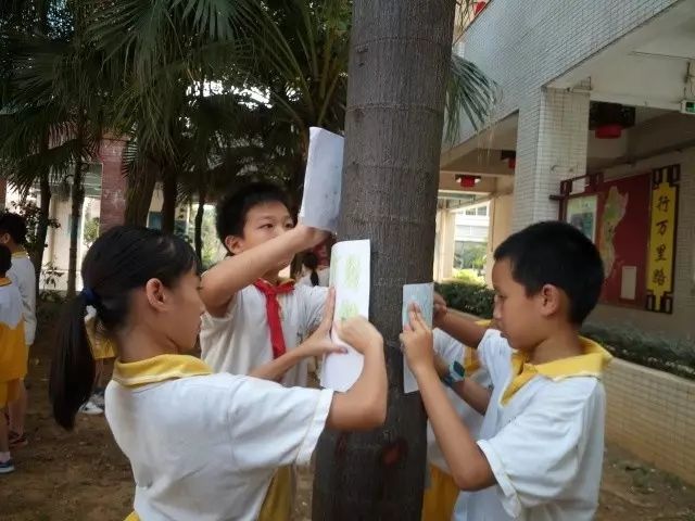 佛山小学排名2020_喜讯南沙小学在2020年佛山市小小科学家比赛中斩获好