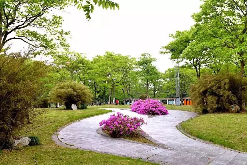 大美嘉興各縣市區最美公園集合你pick哪一款