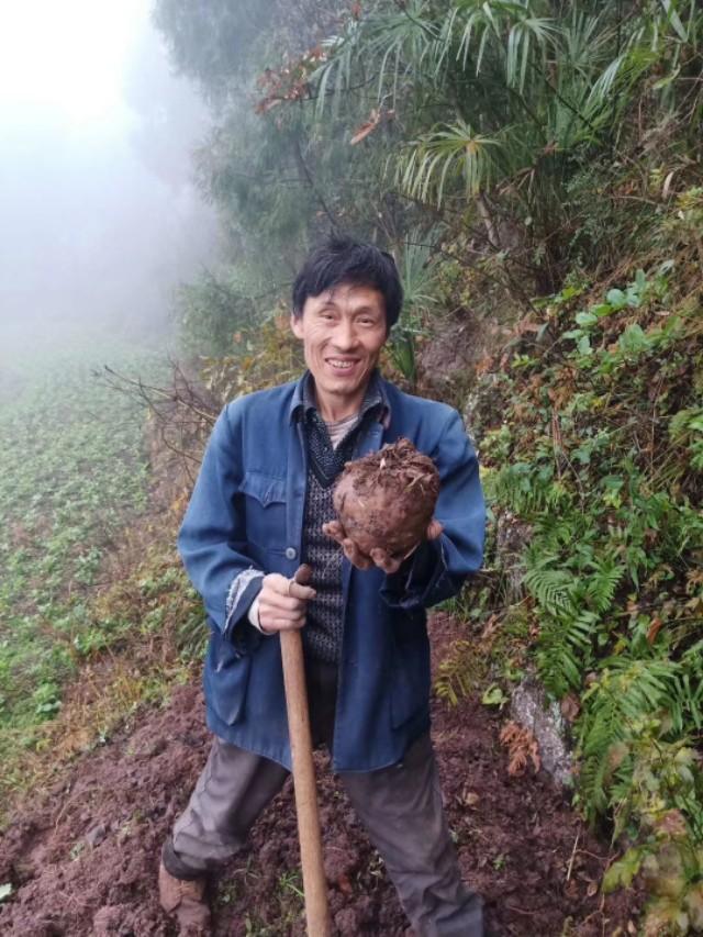 通江这个黑疙瘩,全身都是宝,农民靠它买车买房奔小康!
