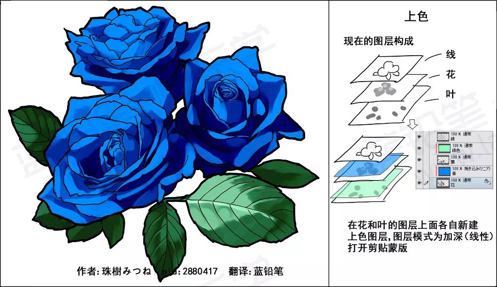 稀世珍爱蓝玫瑰 玫瑰上色演示!