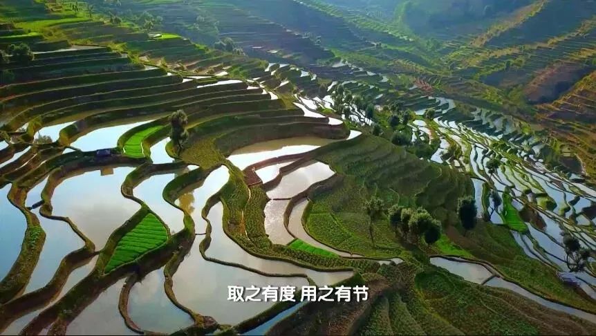 绿水青山看中国今天我们谈谈与吃有关的那些事儿