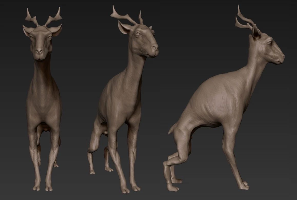 3d角色不错的zb动物高精雕刻参考图86p