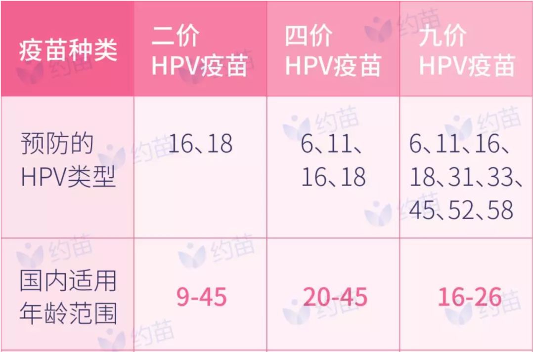 溼疣的hpv低危型別;雙價疫苗預防的是包括hpv16型和18型兩個高危型