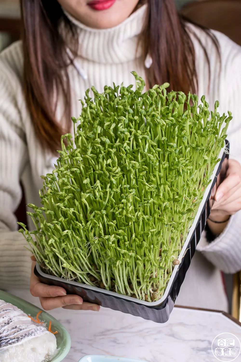 同样也由贴心的服务员帮忙下锅~  活体有机豆苗&活体松香菇,都是现采
