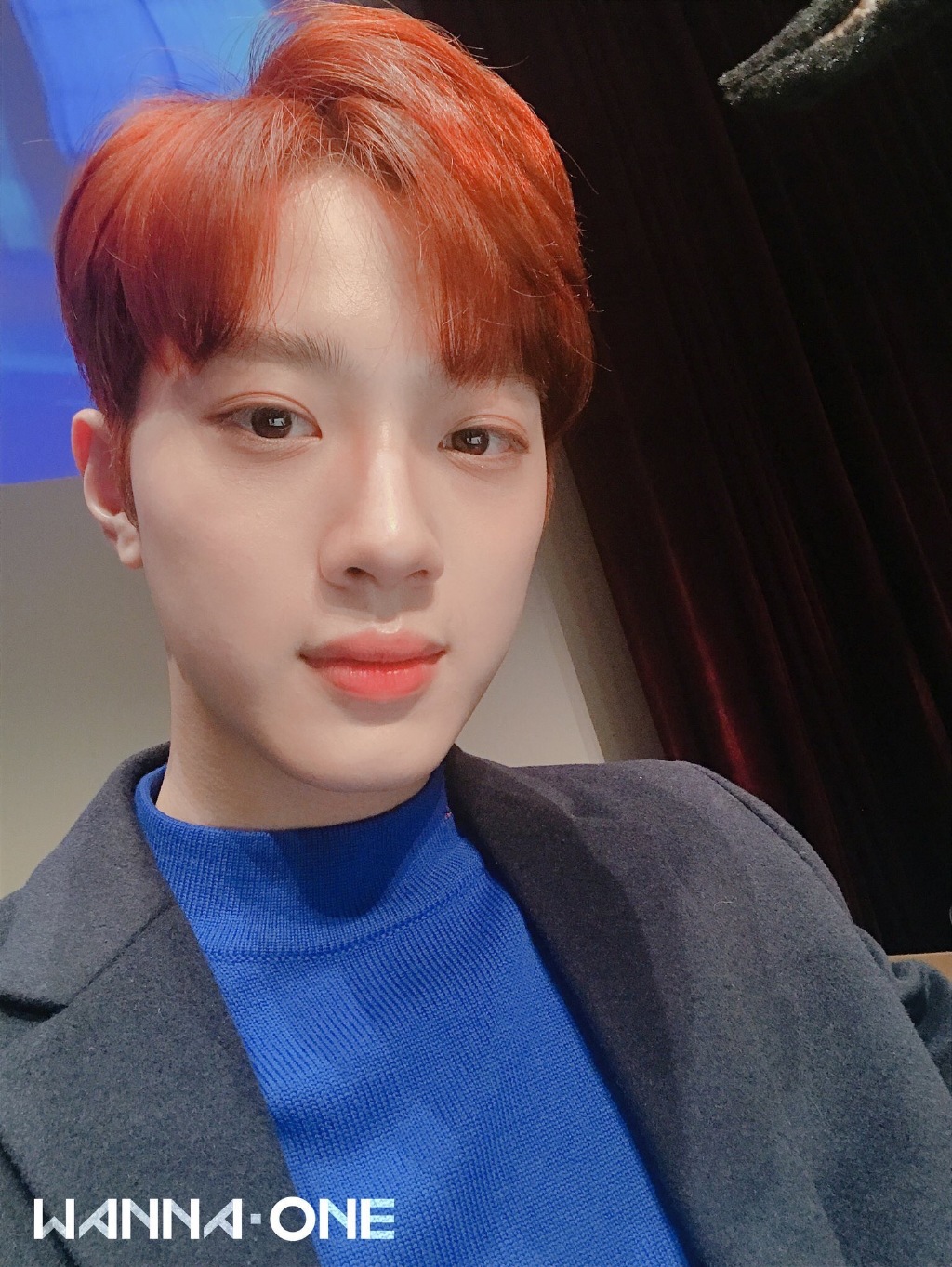 去年今日| 捕捉到一只见面会上自拍的红毛小赖