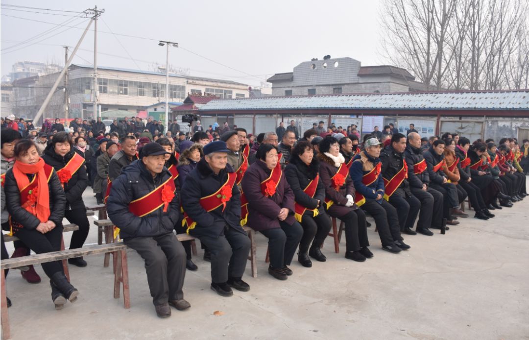 肥城市桃园镇屯头集图片