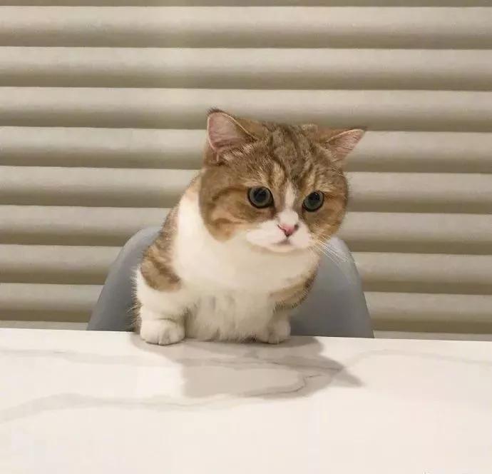 图片[26] - 【xizi被窝段子20200104】要努力 但不要拼命努力 切记切记！ - xizi