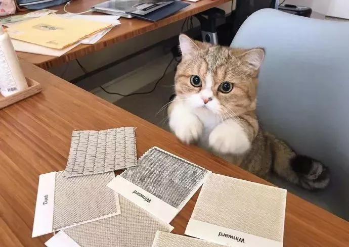 图片[28] - 【xizi被窝段子20200104】要努力 但不要拼命努力 切记切记！ - xizi