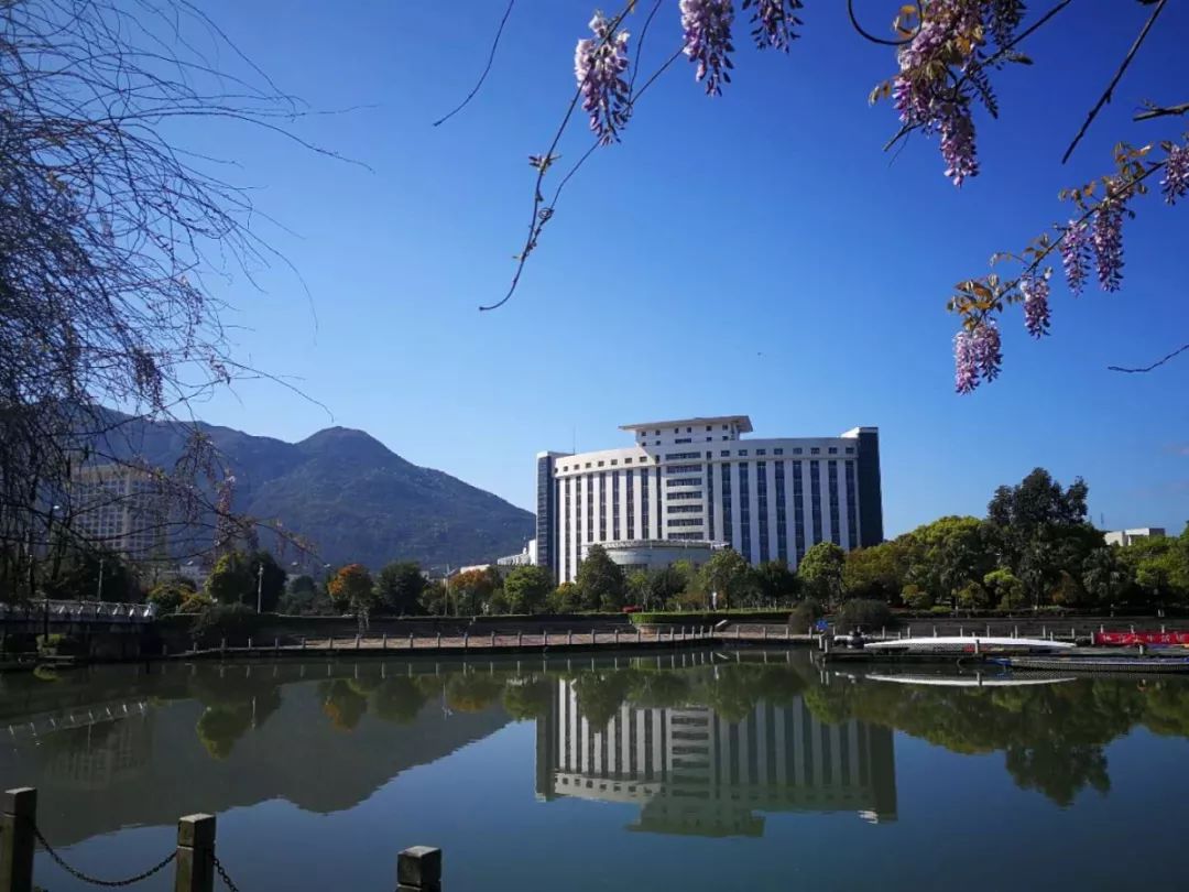 教育部公布温州大学8个专业入选首批国家级一流本科专业建设点