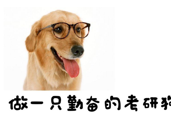 新乡考研寄宿式学校综合实力大揭秘