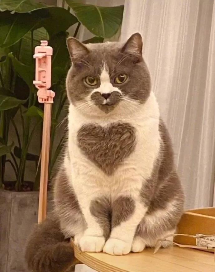 图片[5] - 【xizi被窝段子20200104】要努力 但不要拼命努力 切记切记！ - xizi