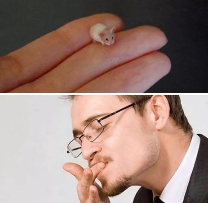 图片[3] - 【xizi被窝段子20200104】要努力 但不要拼命努力 切记切记！ - xizi