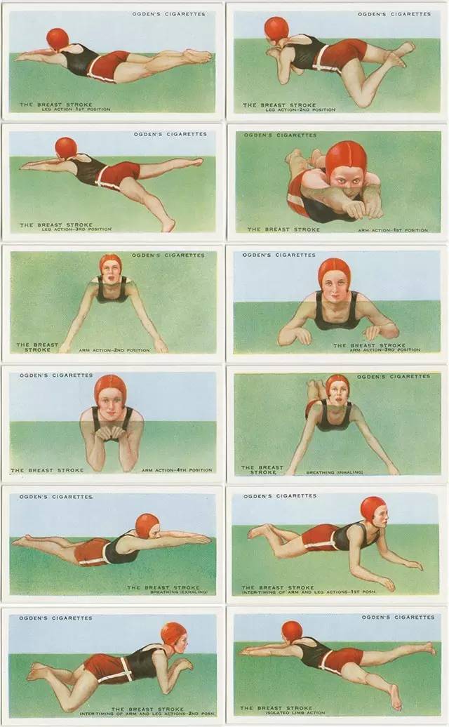 不会游泳的看过来四种泳姿系列游泳教程旱鸭子游泳俱乐部