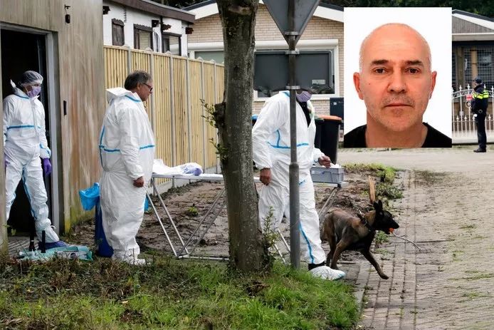 比利时引渡一女子回荷涉事电工失踪据说尸体已肢解并炙烤