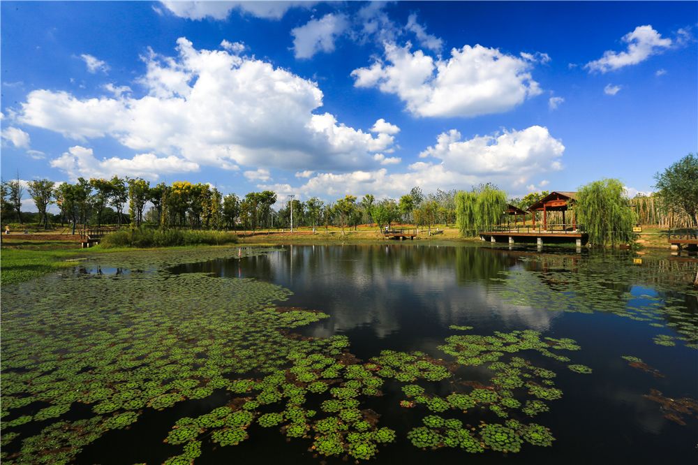 瞧一桥高质量发展的桥林第三期打响农村人居环境整治攻坚战