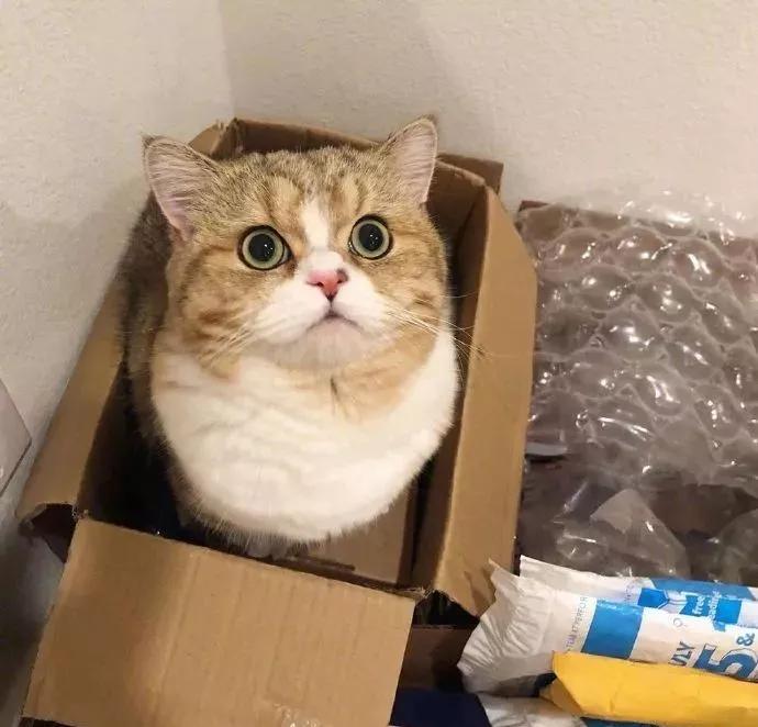 图片[30] - 【xizi被窝段子20200104】要努力 但不要拼命努力 切记切记！ - xizi